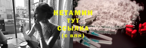 индика Алексин