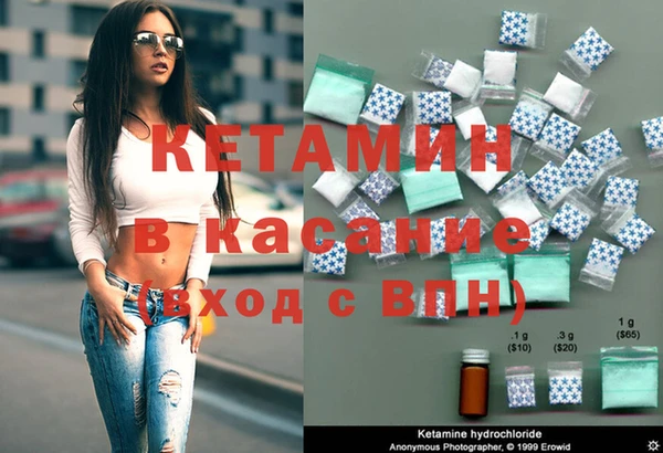 индика Алексин