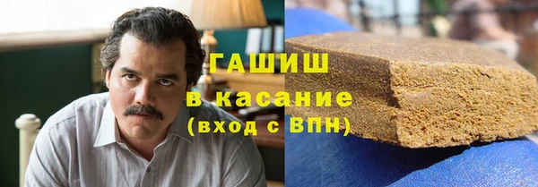индика Алексин