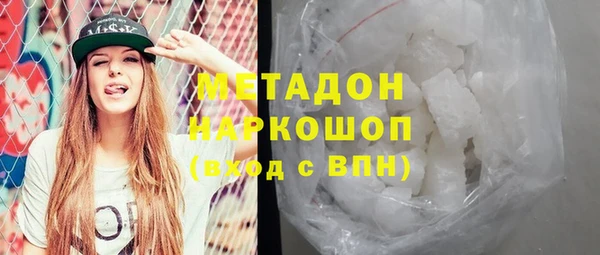 индика Алексин