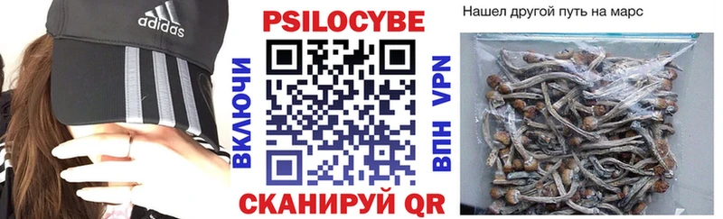 Псилоцибиновые грибы Cubensis  где найти наркотики  Анадырь 